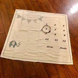 Unisex milestone blanket- new